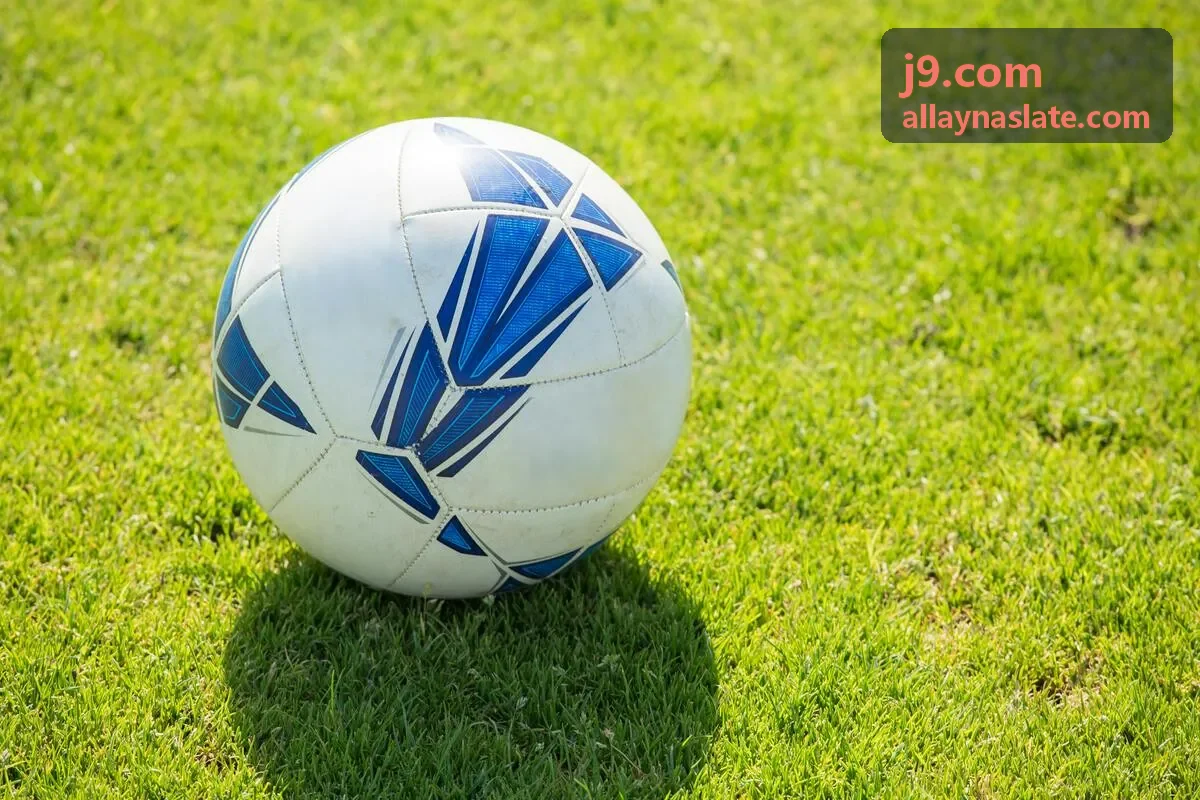 j9.com 专题合集章节浏览页面